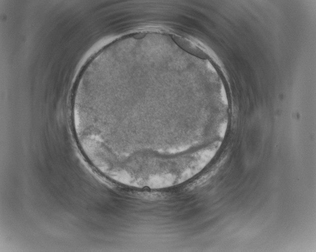 X0000080111045200701051324