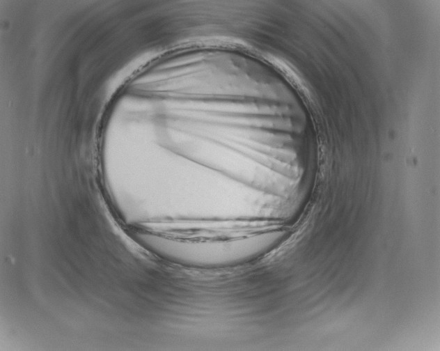 X0000080111046200701051324