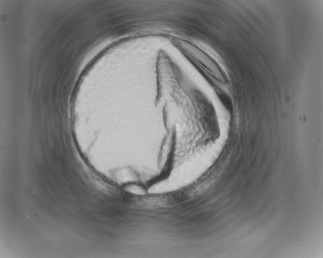 X0000080111047200701051325