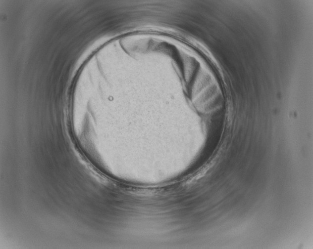 X0000080111048200701051325