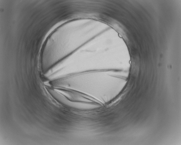 X0000080111052200701051325