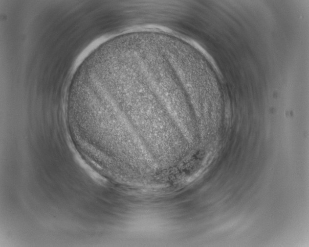 X0000080111054200701051325