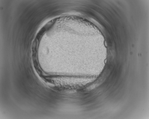 X0000080111055200701051325