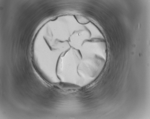 X0000080111056200701051325