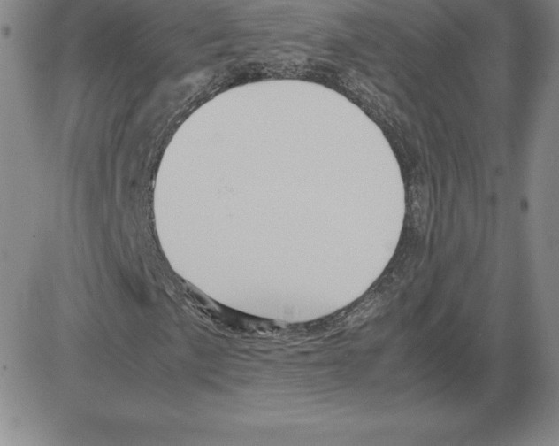 X0000080111057200701051324