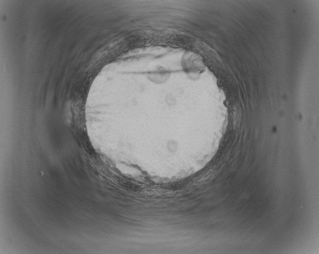 X0000080111059200701051324