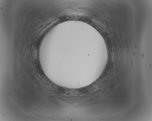 X0000080111061200701051324