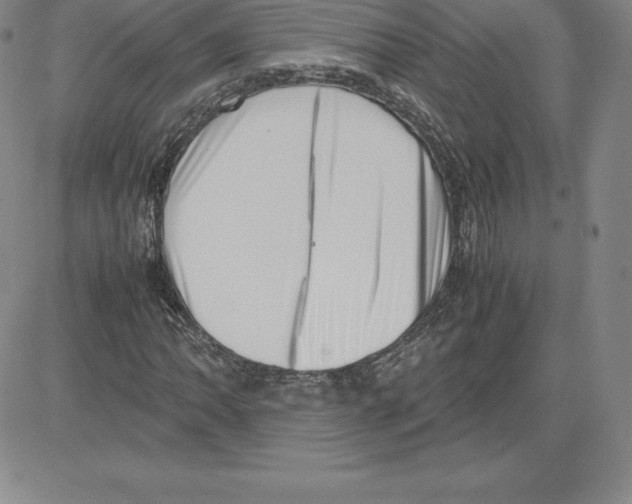 X0000080111062200701051324