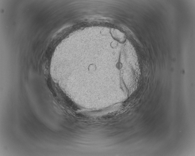 X0000080111063200701051324