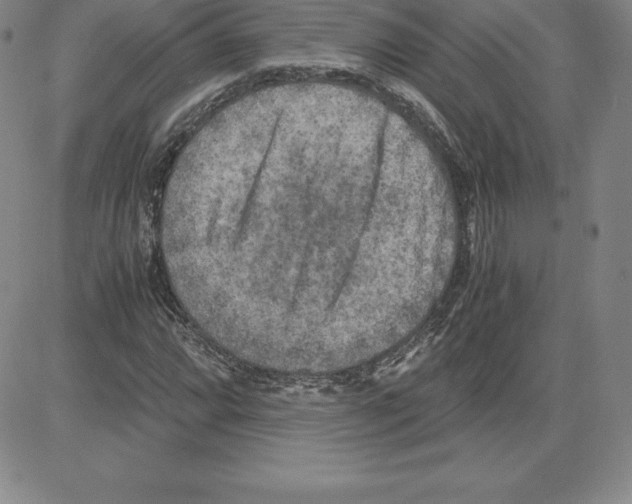 X0000080111064200701051324