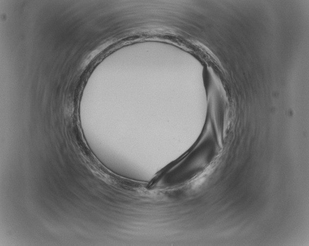 X0000080111065200701051324