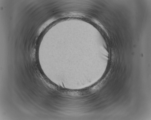 X0000080111066200701051324