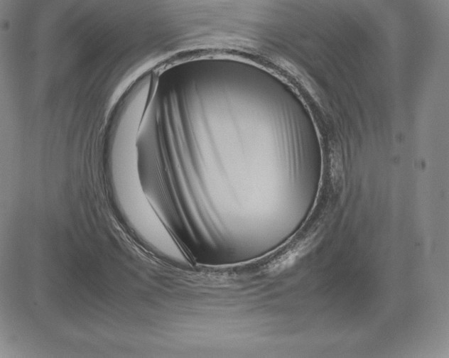 X0000080111069200701051324