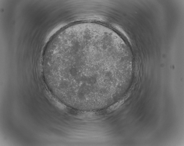 X0000080111071200701051324