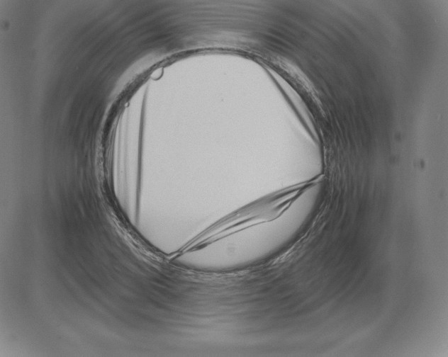 X0000080111072200701051324