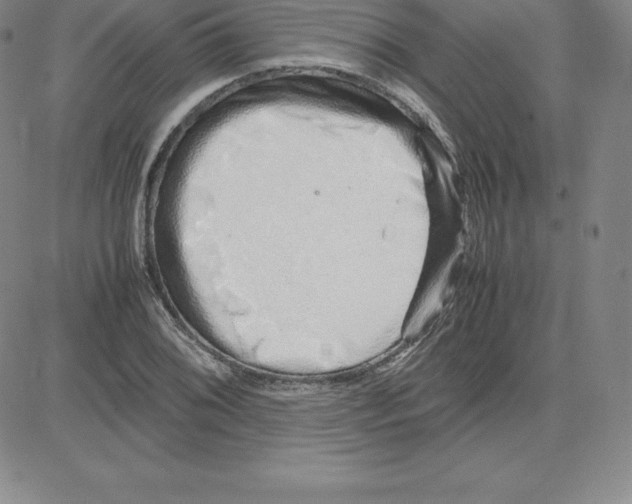 X0000080111076200701051324