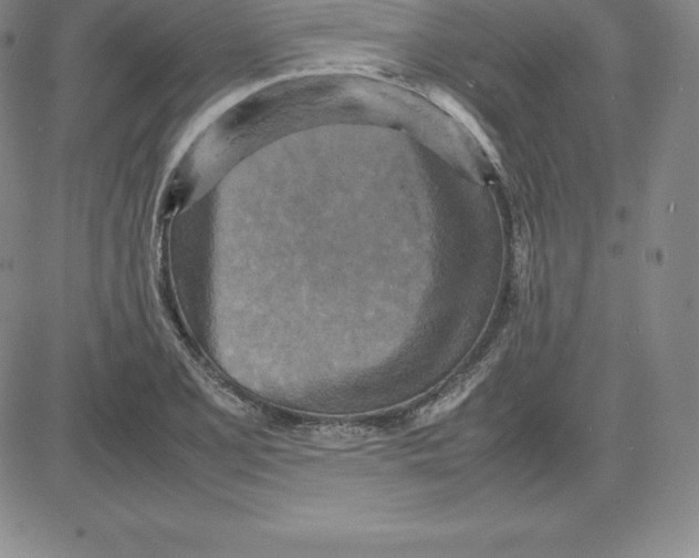 X0000080111077200701051324