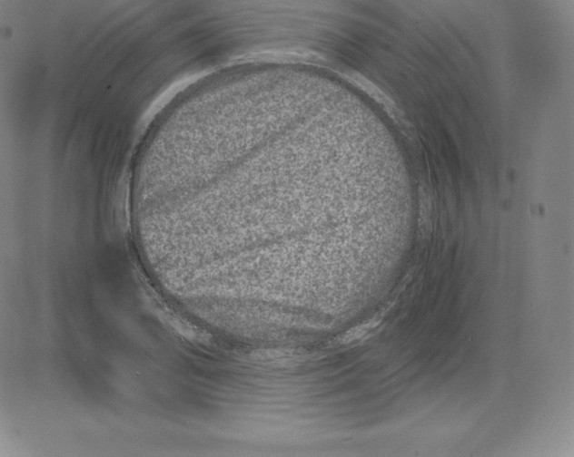 X0000080111078200701051324