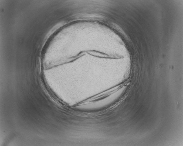 X0000080111079200701051324