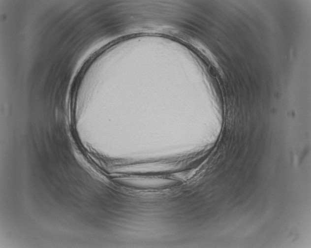 X0000080111080200701051324