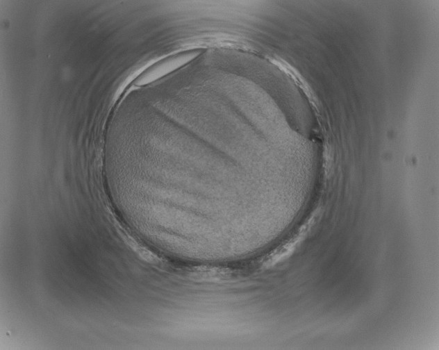 X0000080111081200701051324