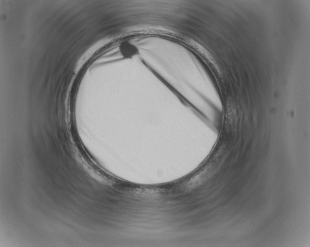 X0000080111082200701051323