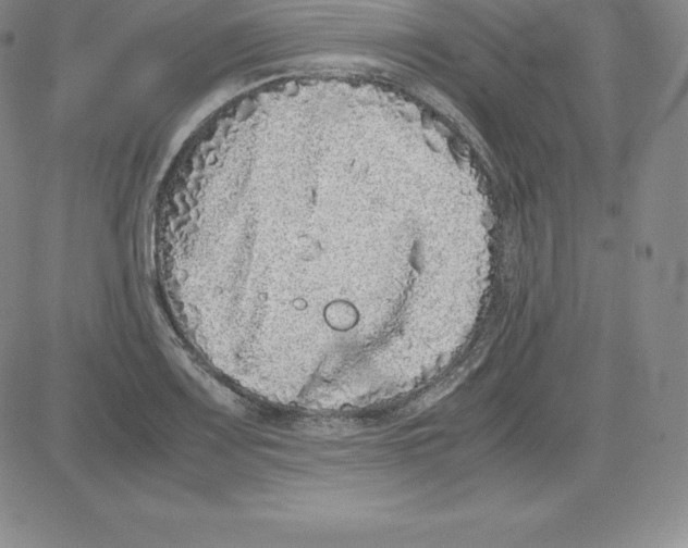 X0000080111083200701051323