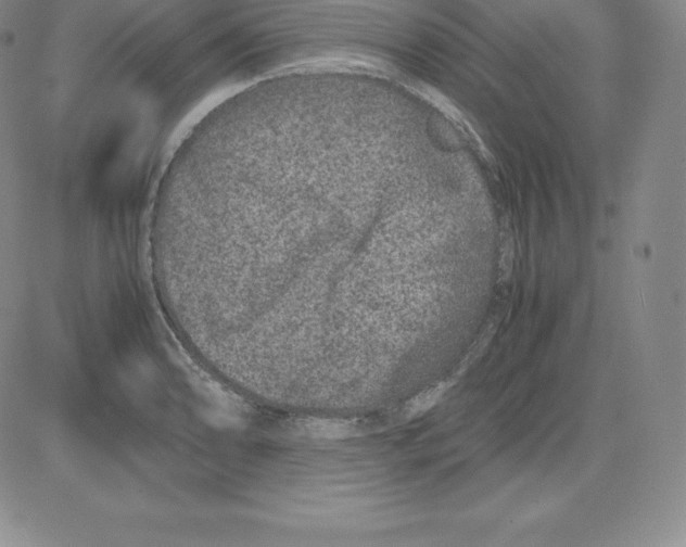 X0000080111086200701051323