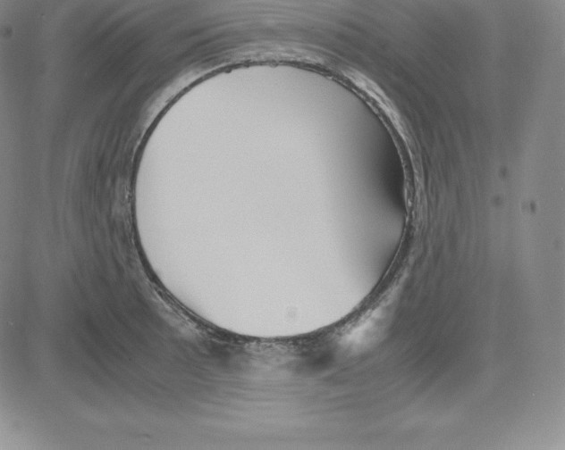 X0000080111089200701051323