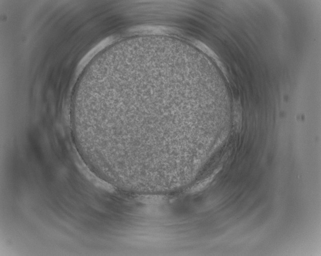 X0000080111090200701051323