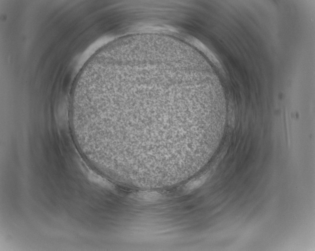 X0000080111094200701051323