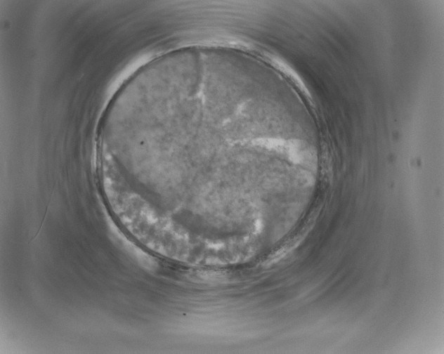 X0000080111095200701051323