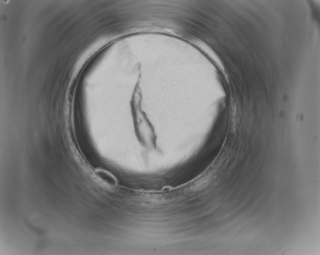 X0000080111096200701051323