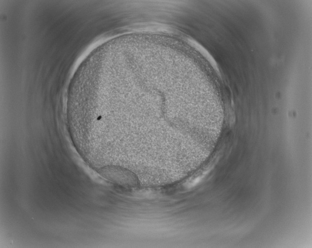 X0000080111099200701051323