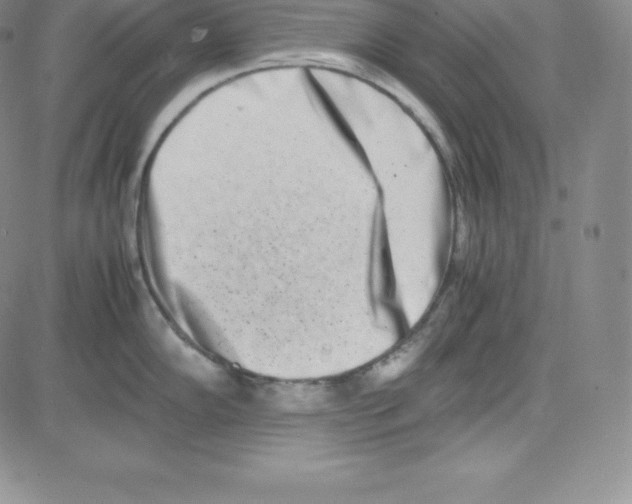 X0000080111102200701051323