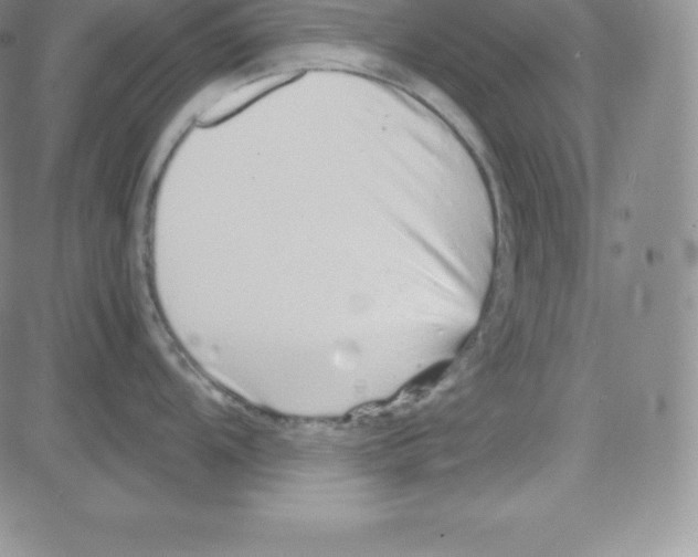 X0000080111104200701051323