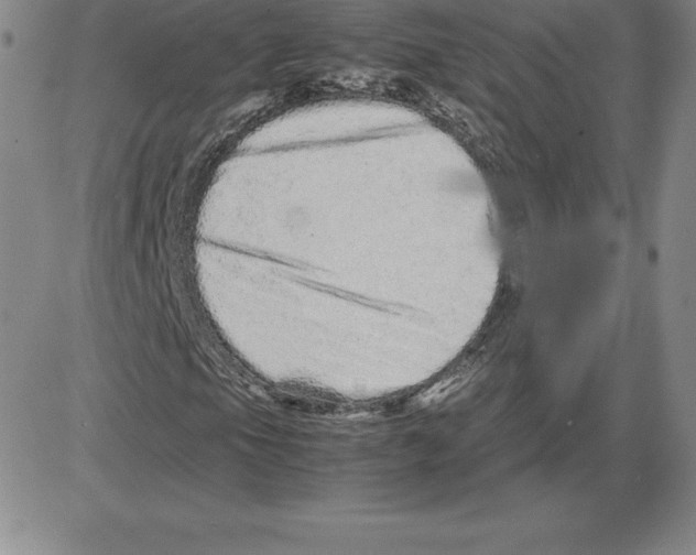 X0000080111105200701051322