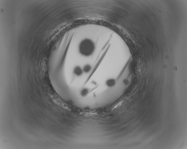 X0000080111110200701051322