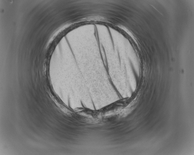 X0000080111115200701051323