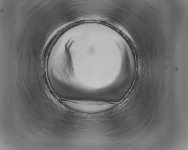 X0000080111116200701051323