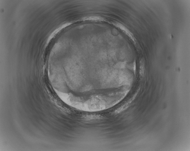 X0000080111117200701051323