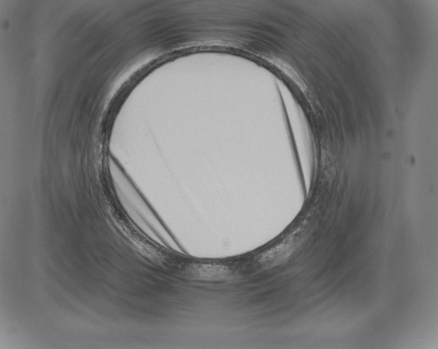 X0000080111119200701051323