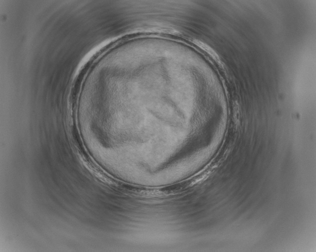 X0000080111120200701051323