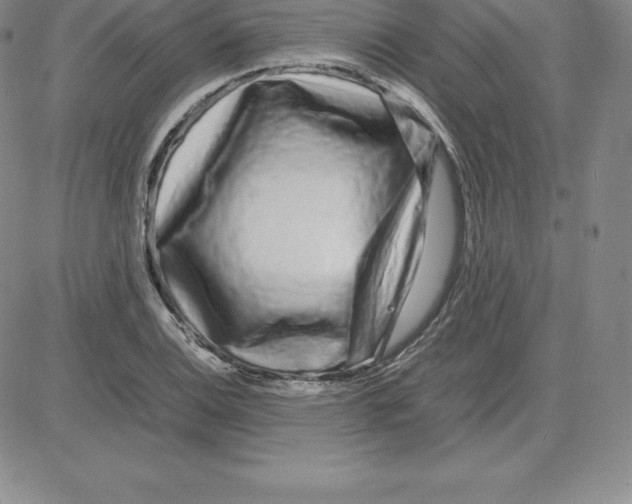 X0000080111124200701051323