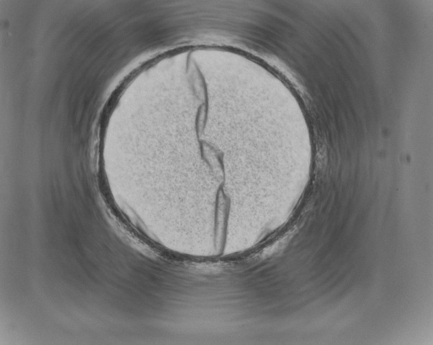 X0000080111126200701051323