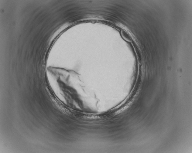 X0000080111129200701051323