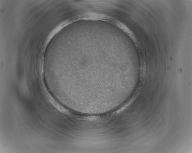 X0000080111130200701051323