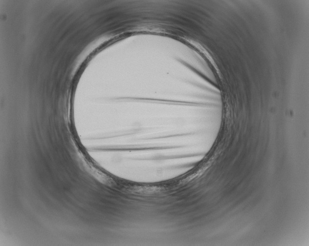 X0000080111131200701051323