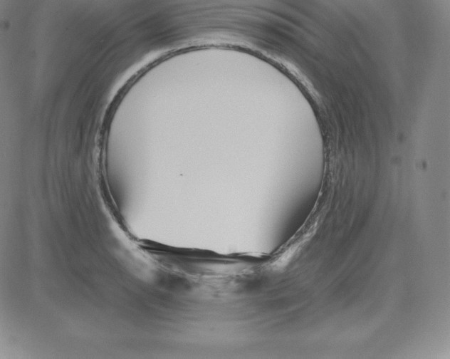 X0000080111134200701051323