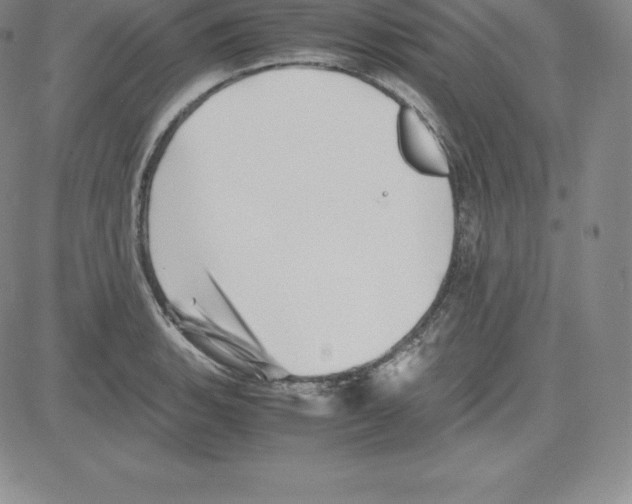 X0000080111135200701051323